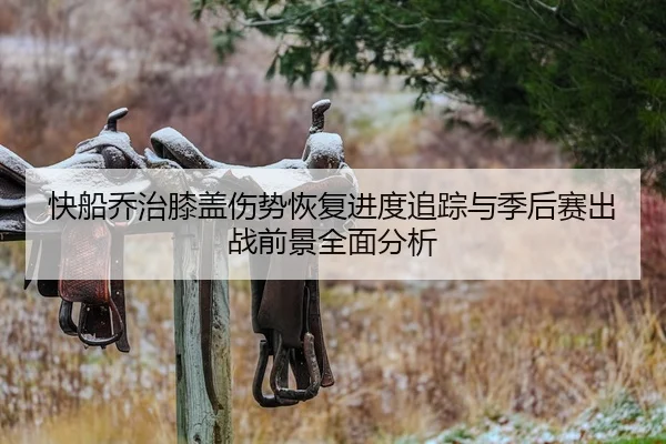 快船乔治膝盖伤势恢复进度追踪与季后赛出战前景全面分析