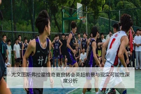 尤文图斯弗拉霍维奇夏窗转会英超前景与现实可能性深度分析